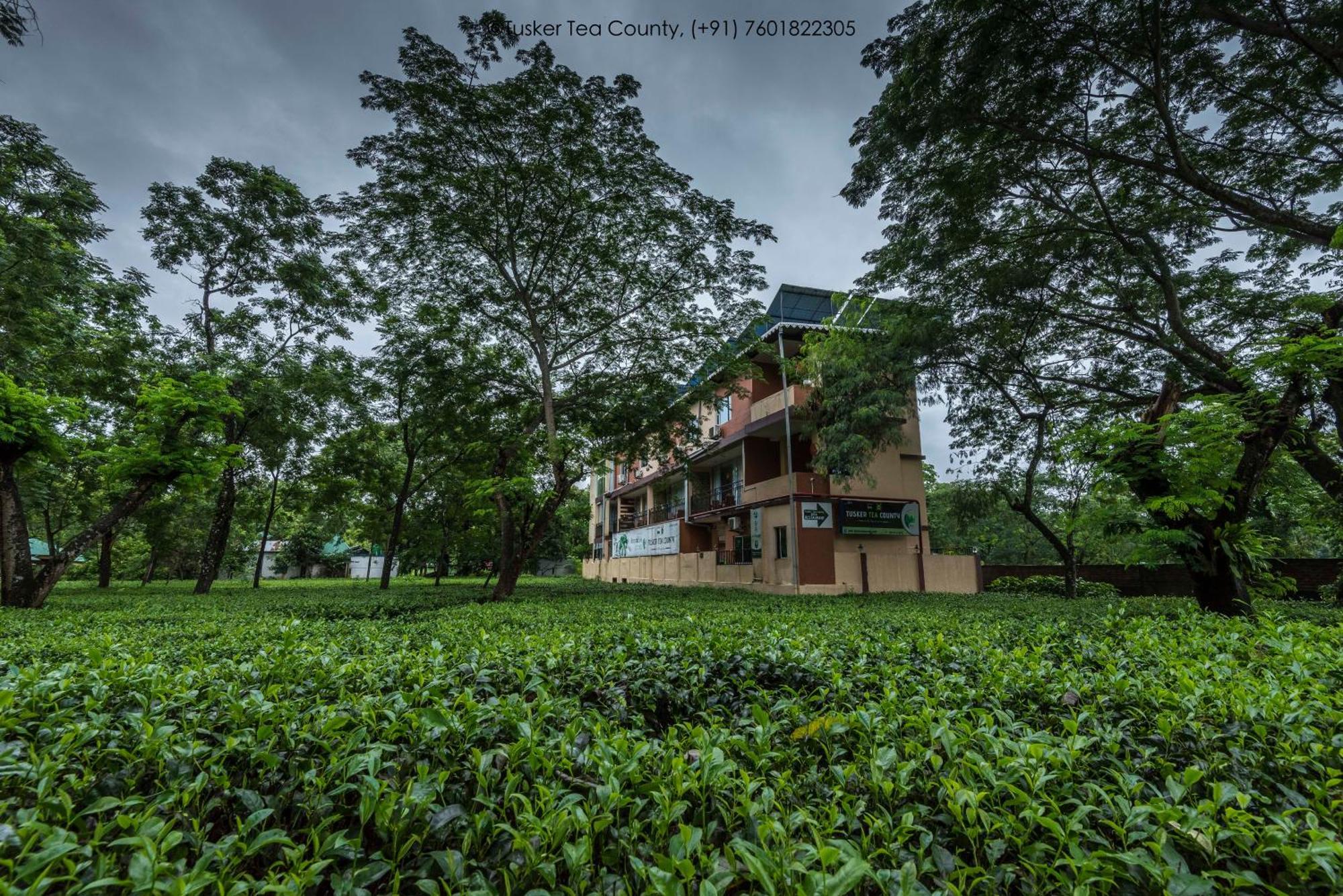 Hotel Tusker Tea County à Chālsa Extérieur photo